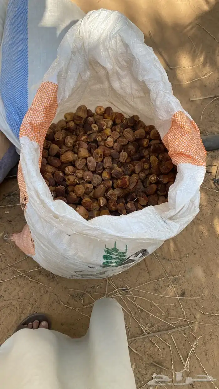 تمر مواشي ممتاز 1