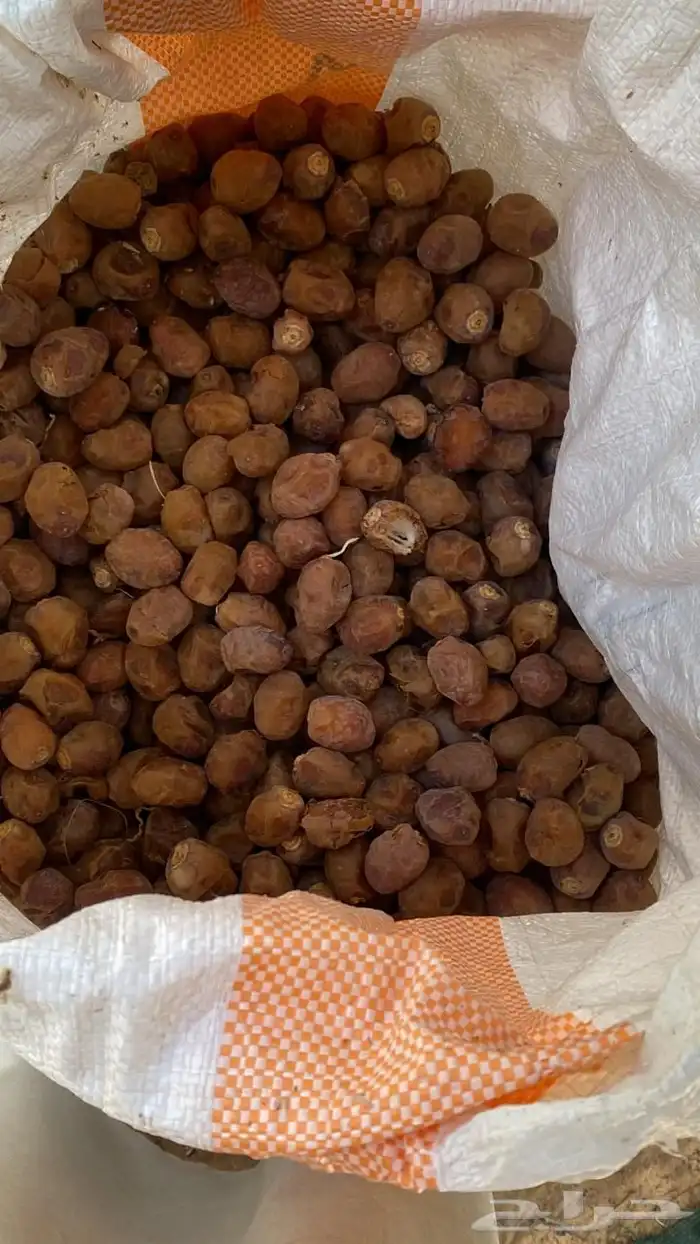 تمر مواشي ممتاز 0