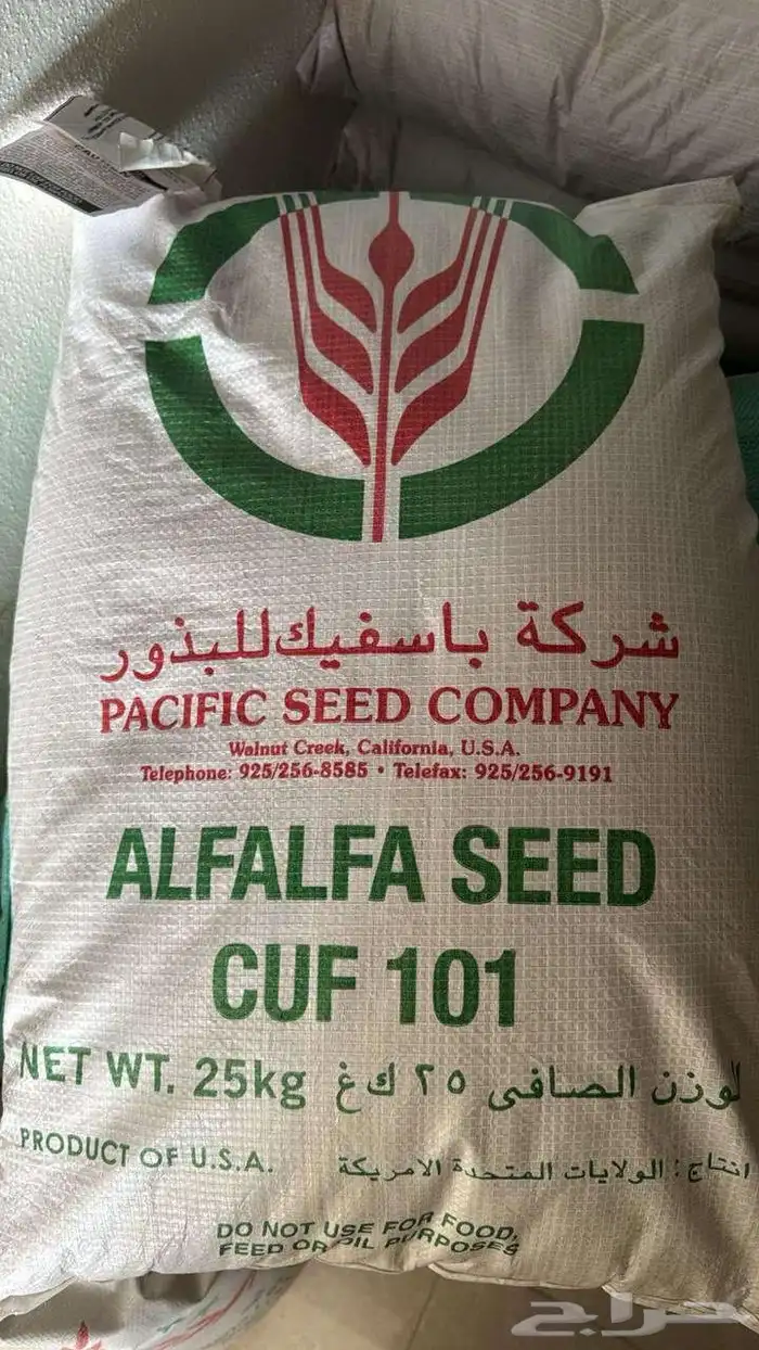 للبيع بذور برسيم باسفيك كاف 101 0