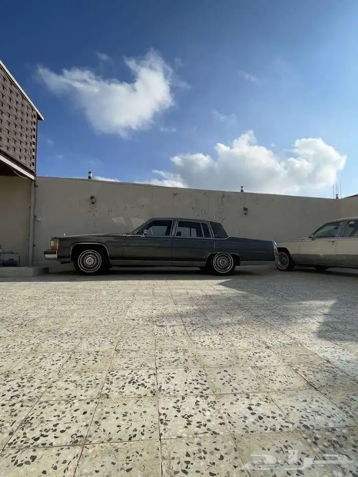 كدلك 1989 عداد قليل جدا 10