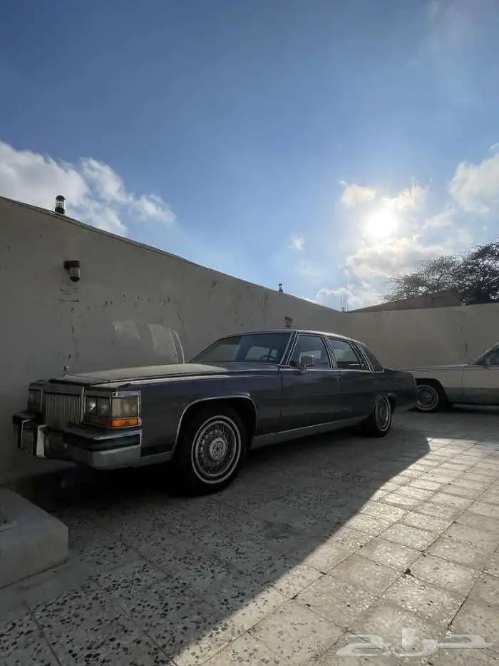 كدلك 1989 عداد قليل جدا 14