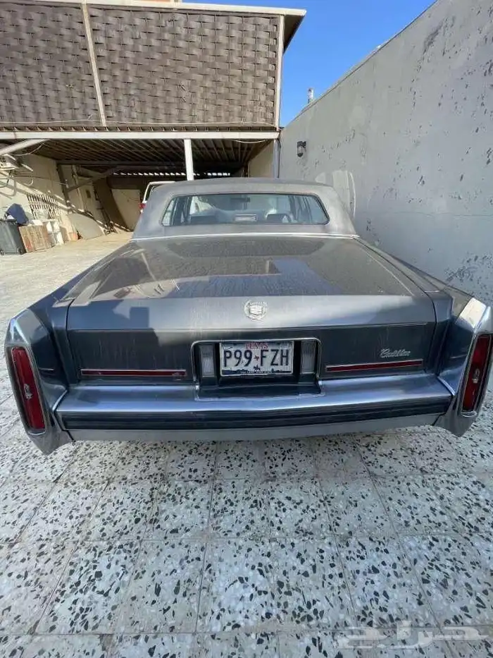 كدلك 1989 عداد قليل جدا 11