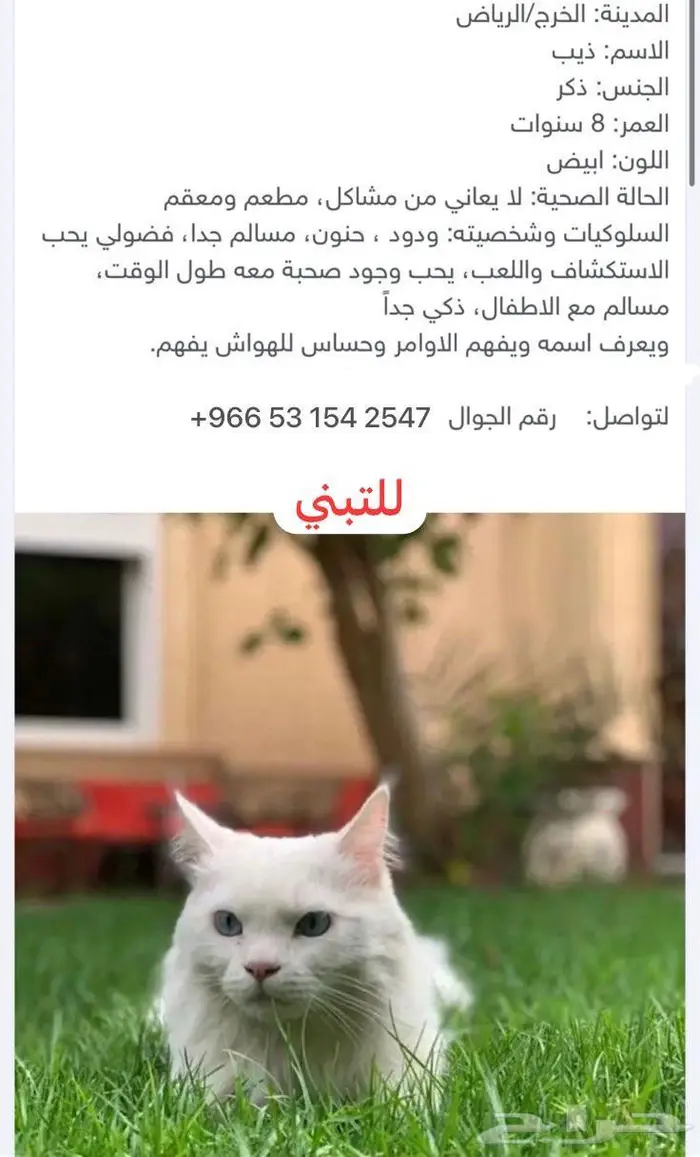 قطوة للتبني الرياض الخرج 0