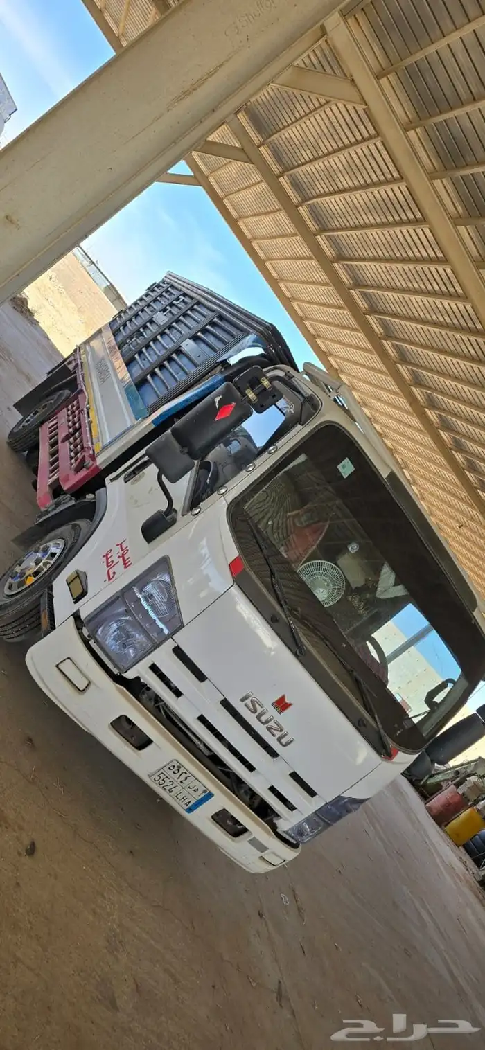 دينا ايسوزو 2014 1