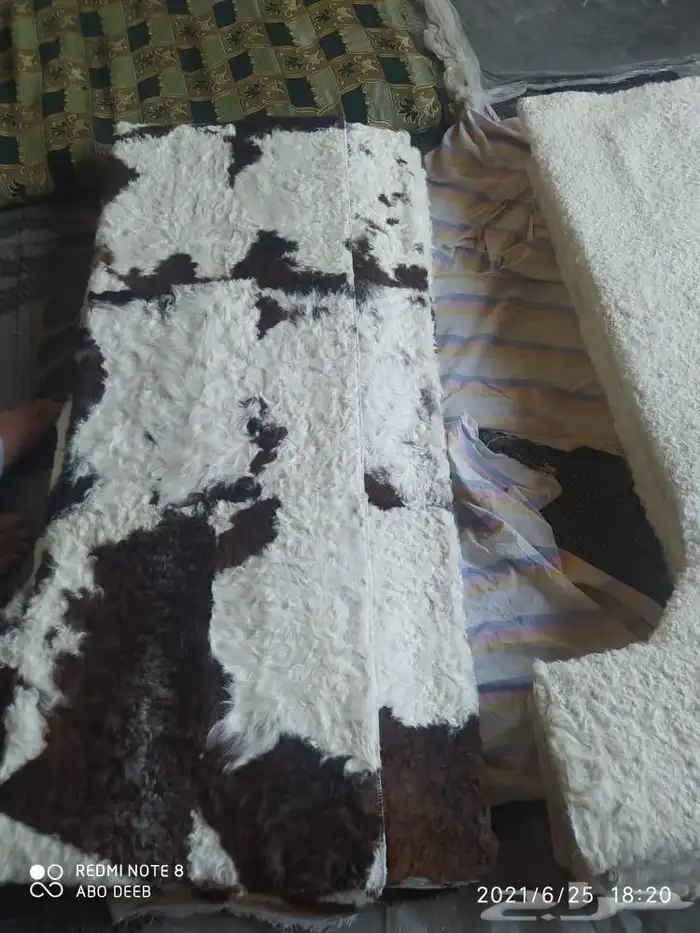 فروة فروات طفيلي غنم تفصيل ملكي 9