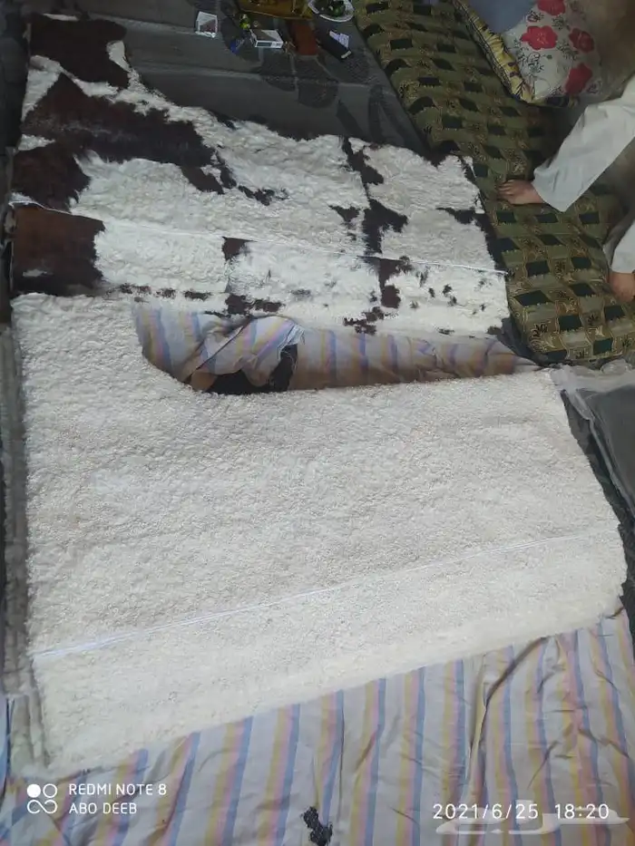 فروة فروات طفيلي غنم تفصيل ملكي 10