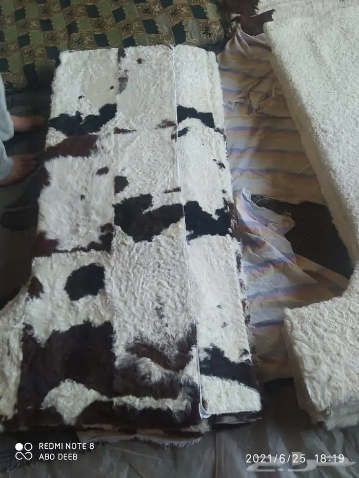 فروة فروات طفيلي غنم تفصيل ملكي 11