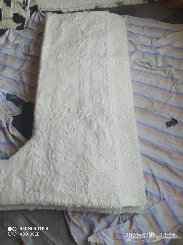 فروة فروات طفيلي غنم تفصيل ملكي 20