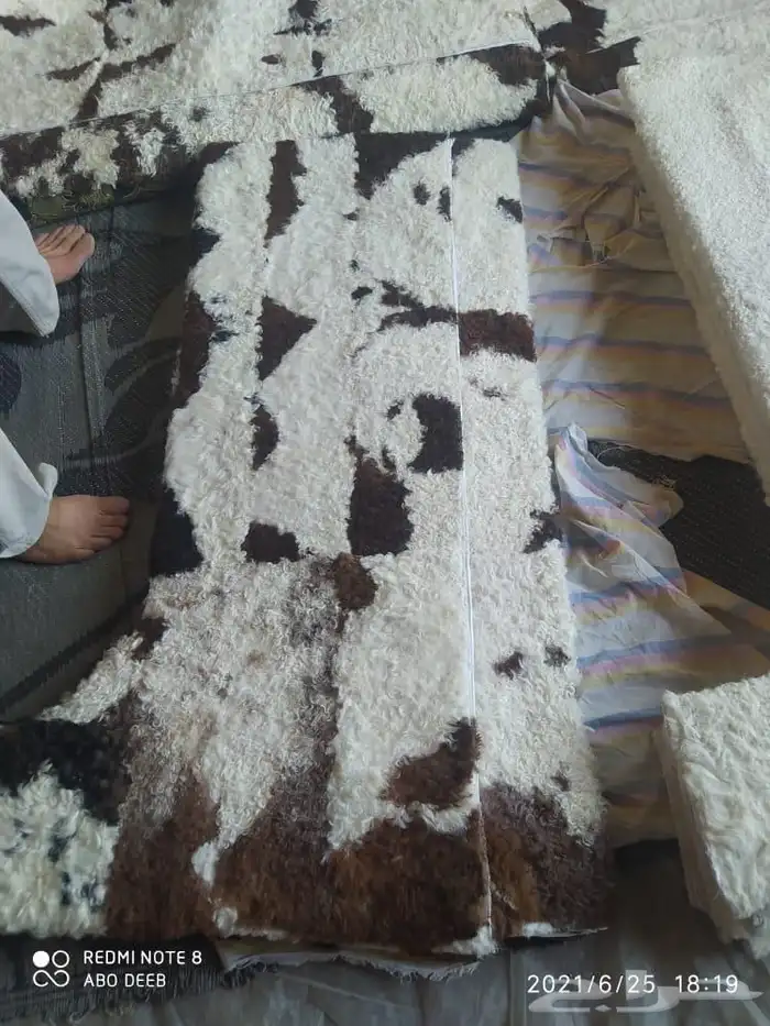 فروة فروات طفيلي غنم تفصيل ملكي 21