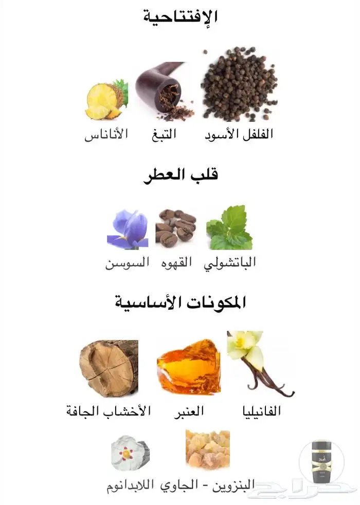 عطر أسد من لطافة شبيه مطابق لسوفاج إلكسير 2