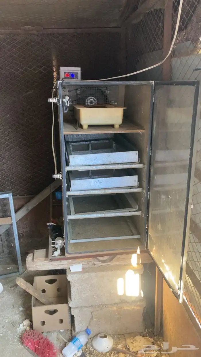 فقاسه امريكي للبيع 2