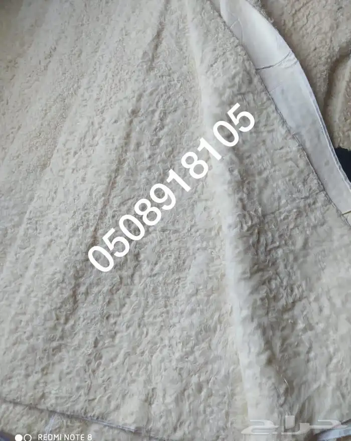 فروة فروات طفيلي غنم تفصيل ملكي 31