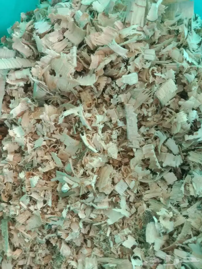 نشارة البركة لنشارة الخيل والدواجن 2