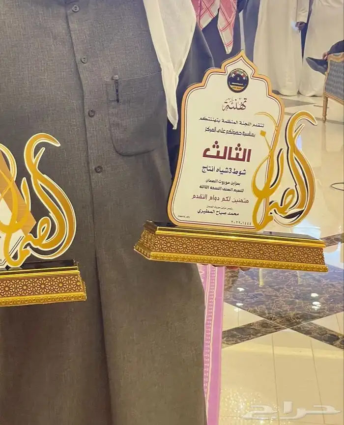 جذع صنف غنم نعيم فاخر 4