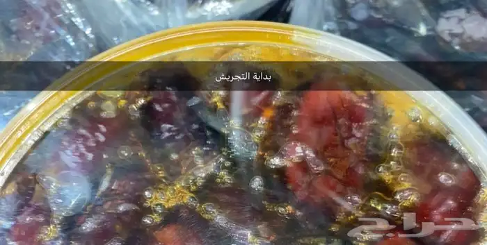 تمرة حلوة حايل الرميثية ومسكانية فاخرة من الاخر 1