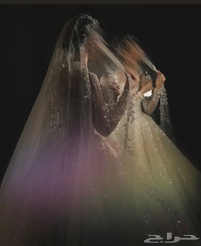 مطربة للمناسبات السعيدة 2