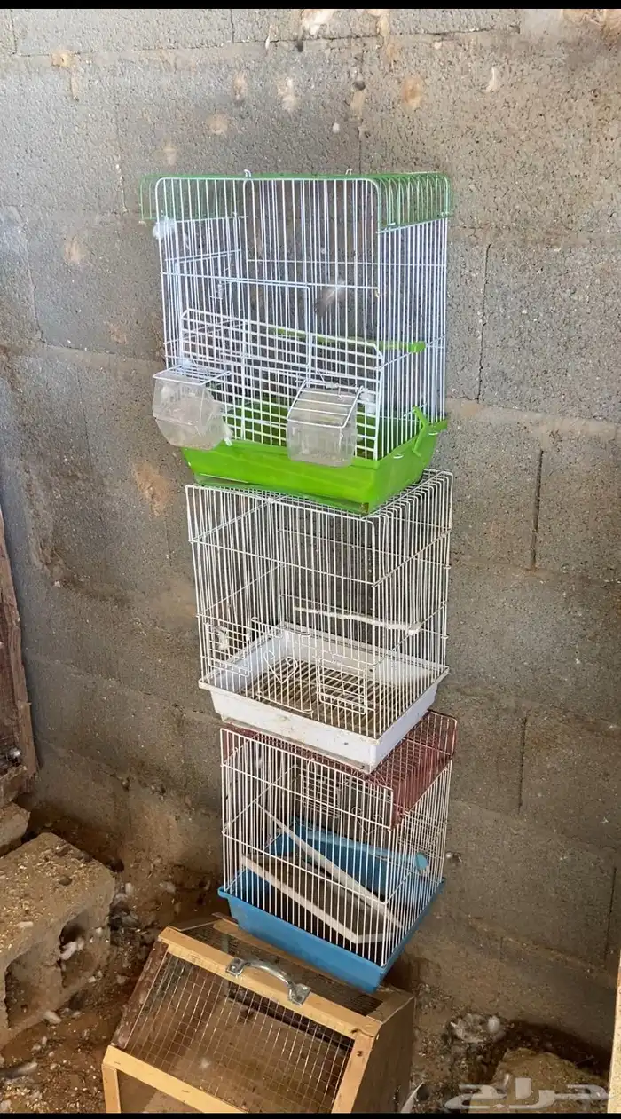 اقفص طيور زينه وقفص نقل خشب 0