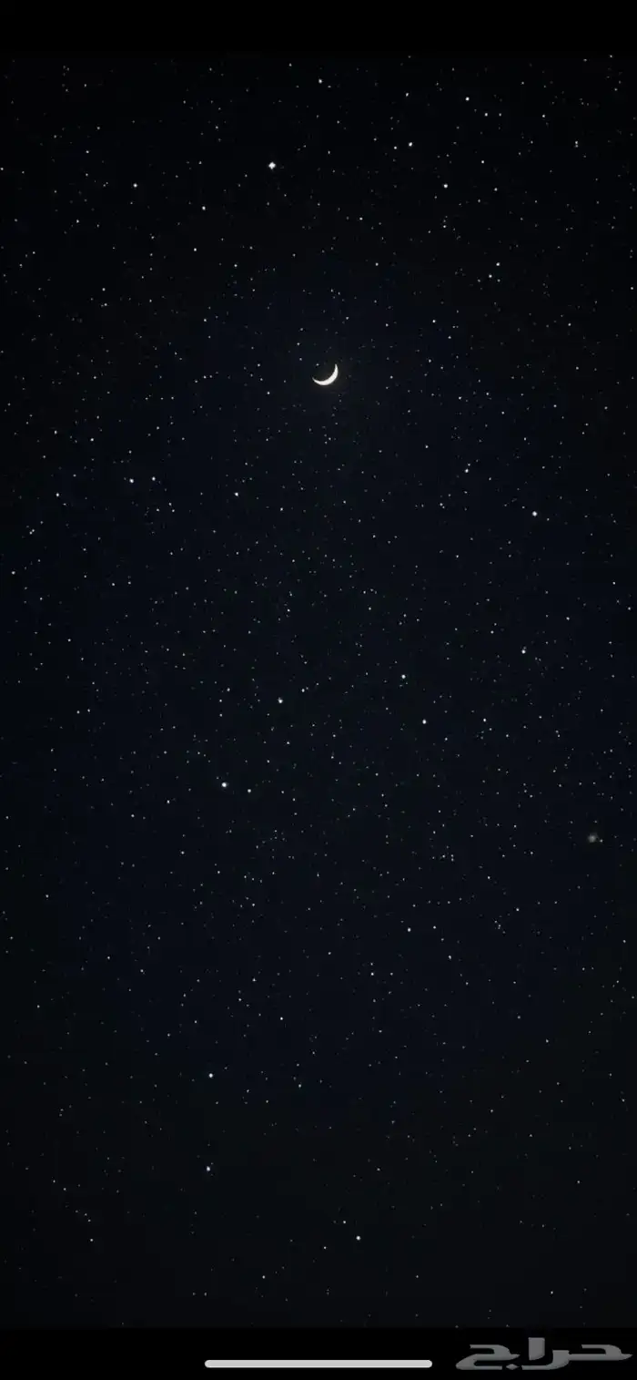 احتاج إلى كلب تبني 0