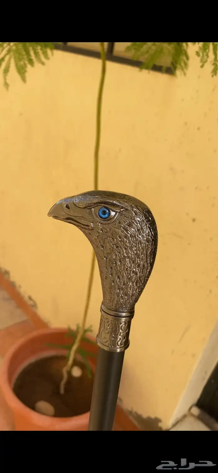 للبيع عصا غداره بدون سكين شكل صقر 1