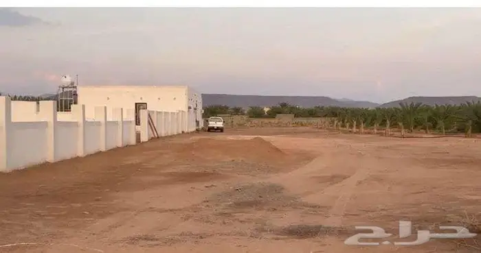 للبيع مزرعة بالمندسة بالمدينة المنورة 2