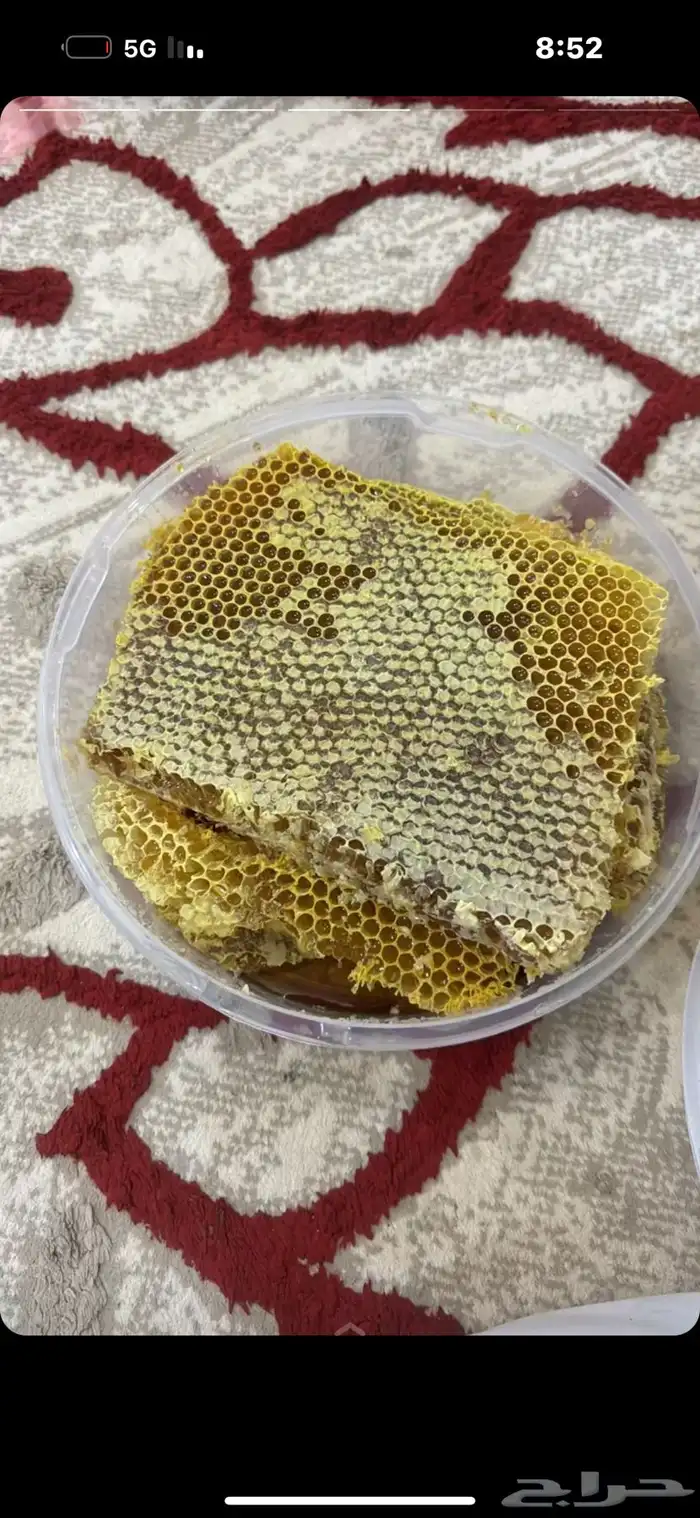 عسل سدر شمع 1