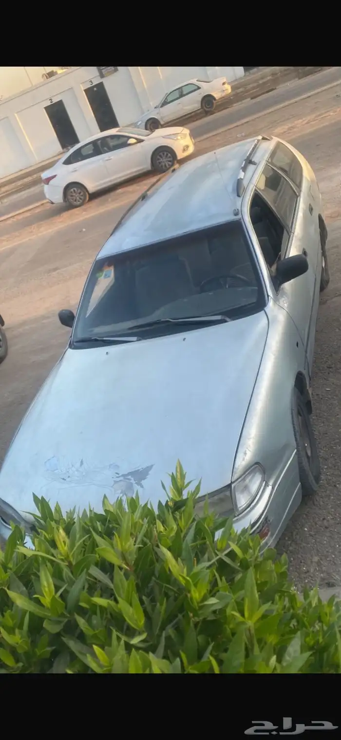 سياره رخيصه 3