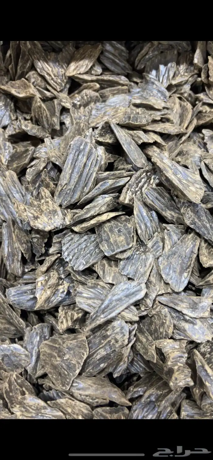 عود الأزرق طبيعي محسن كلمنتان ازرق رقم 1 جملة الجمله 2