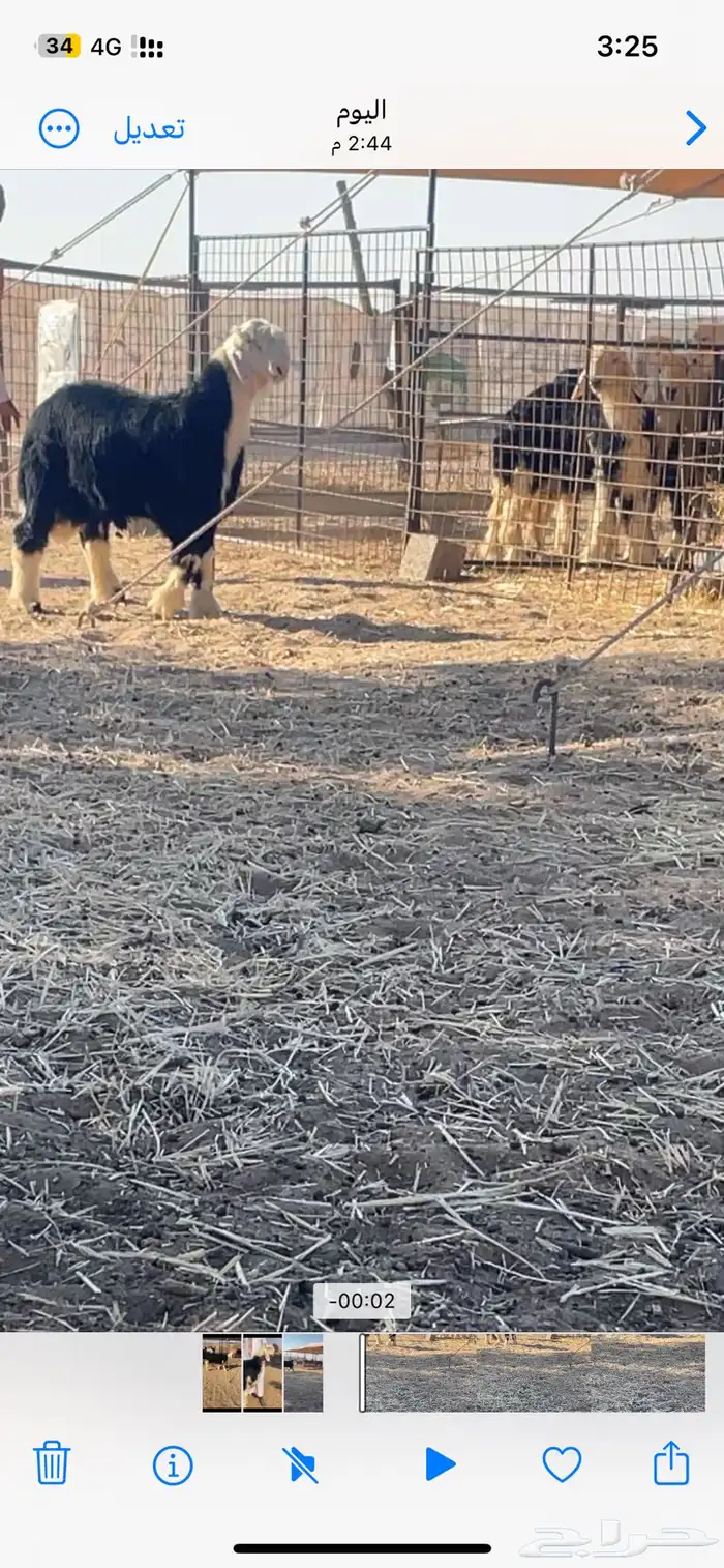 مشاريع فحول 3