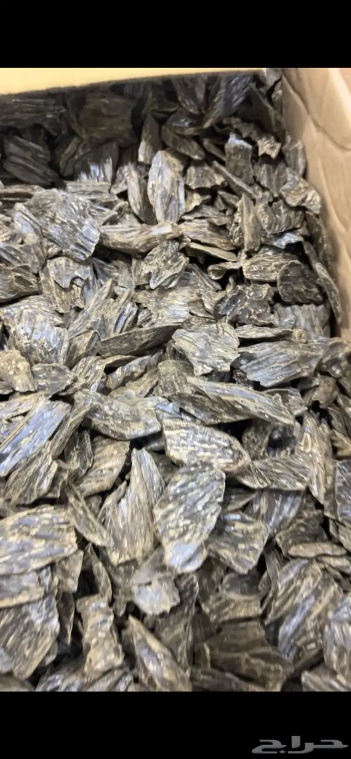 عود الأزرق طبيعي محسن كلمنتان ازرق رقم 1 جملة الجمله 0