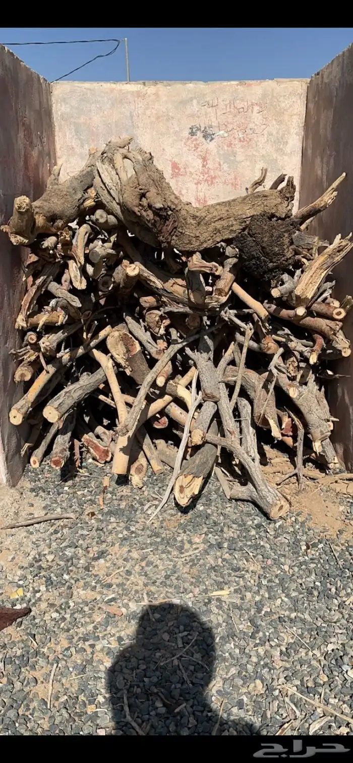 حطب مستورد 0