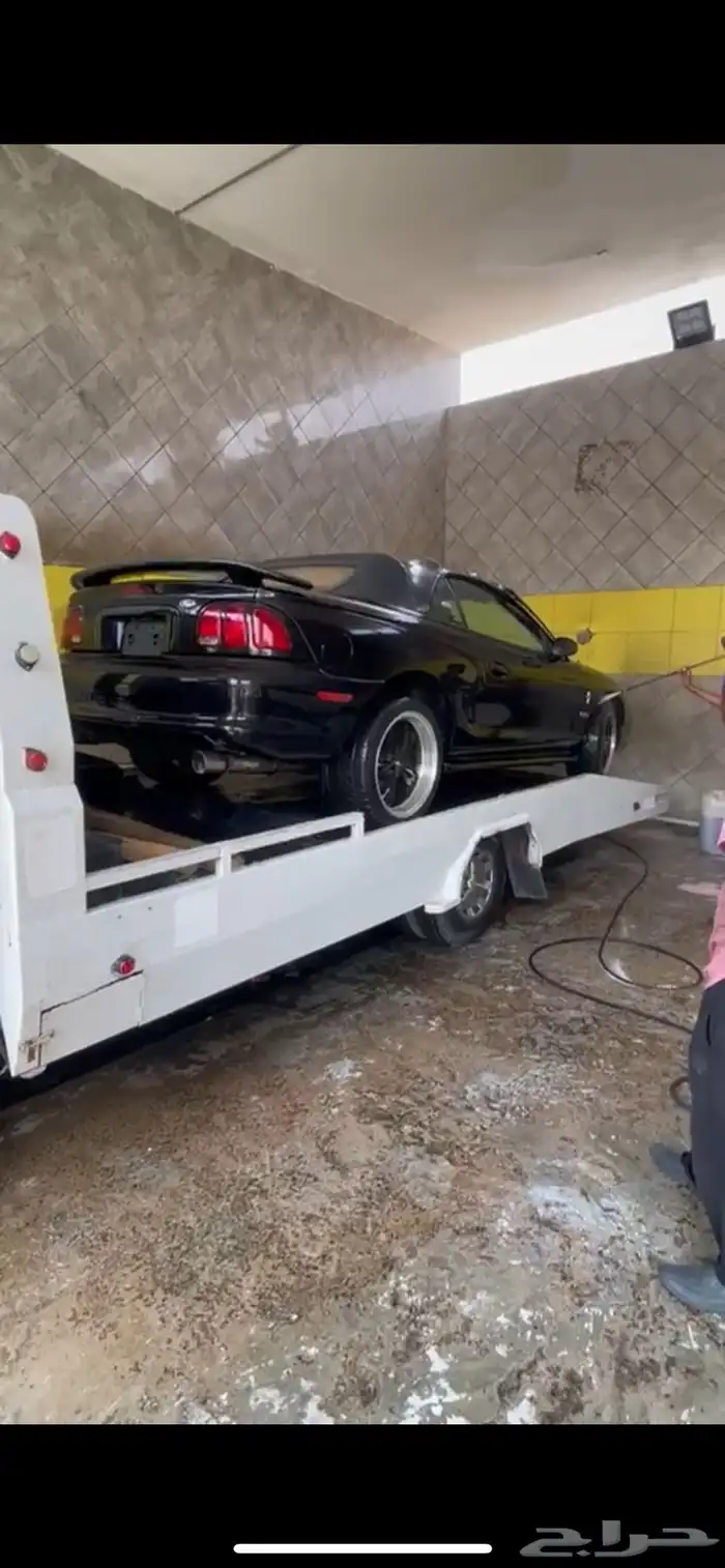 موستنج جي تي 5.0 كشف - قير عادي Mustang GT 5.0 4