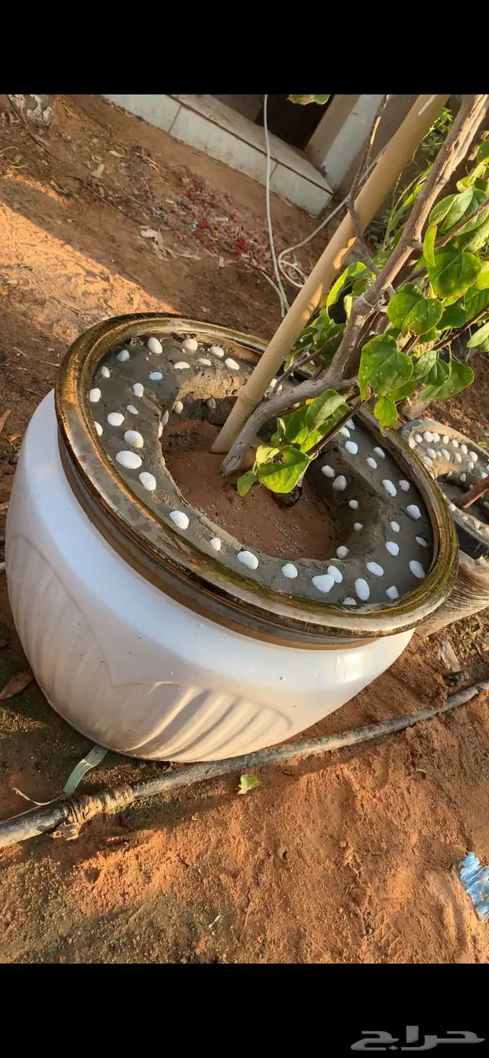 جهنميه متسلقه 2