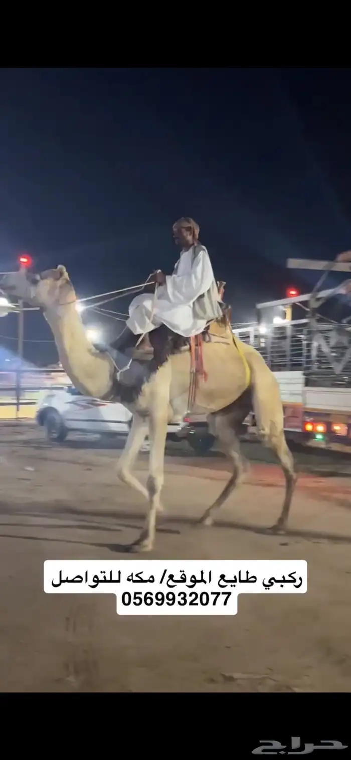 ركبي ركبيه رحول 16