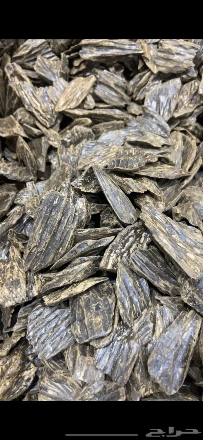 عود الأزرق طبيعي محسن كلمنتان ازرق رقم 1 جملة الجمله 3