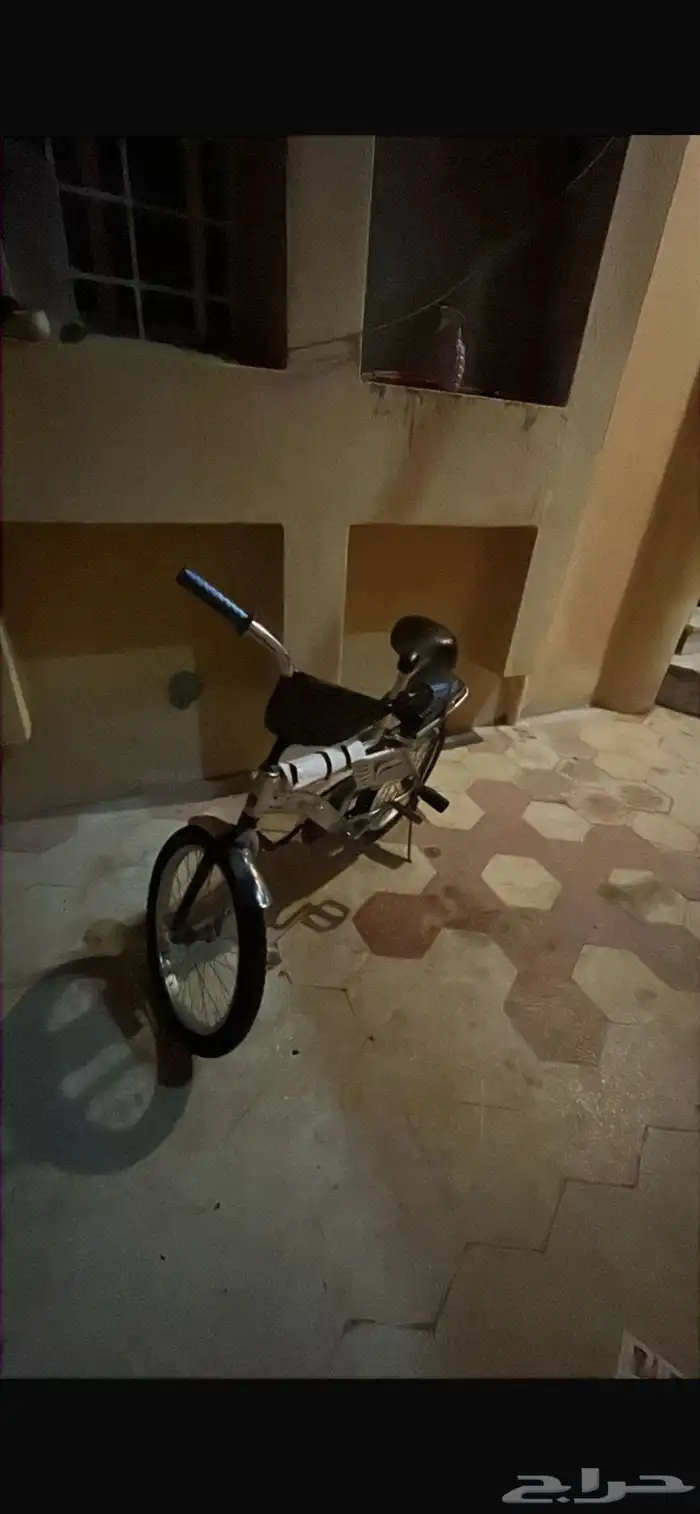 رامبو رمادي للبيع السوم 250 4