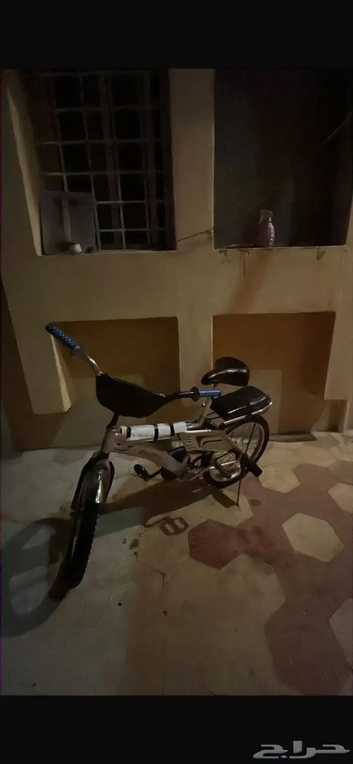 رامبو رمادي للبيع السوم 250 3