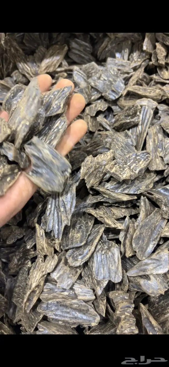 عود الأزرق طبيعي محسن كلمنتان ازرق رقم 1 جملة الجمله 5