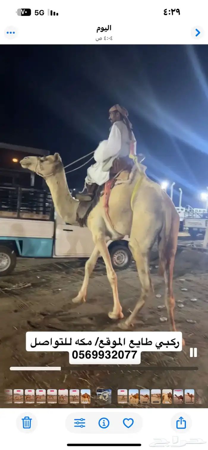 ركبي ركبيه رحول 14