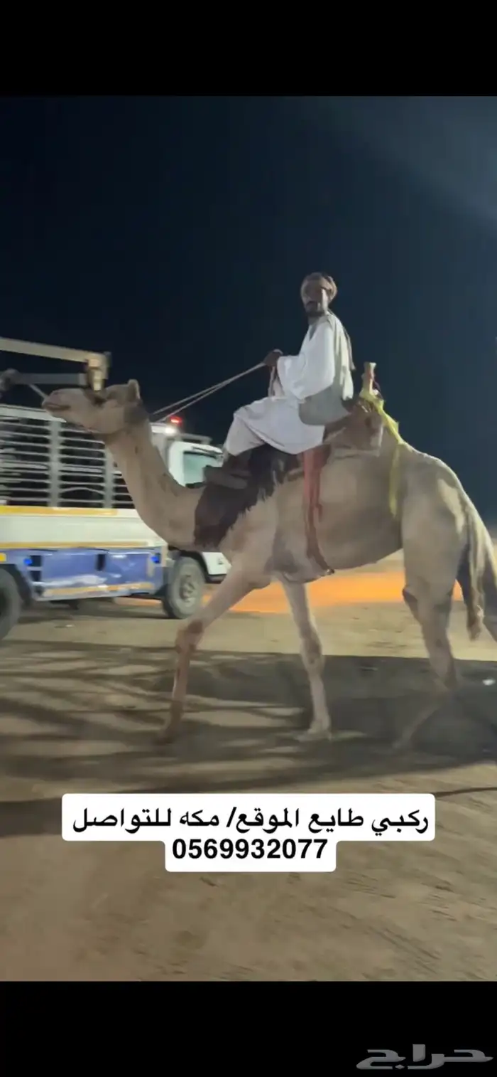 ركبي ركبيه رحول 15