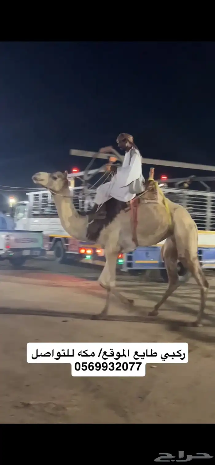 ركبي ركبيه رحول 17