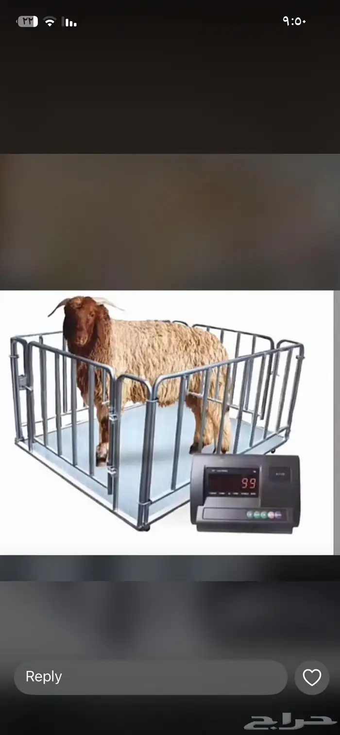 موازين بجميع الأحجام 1