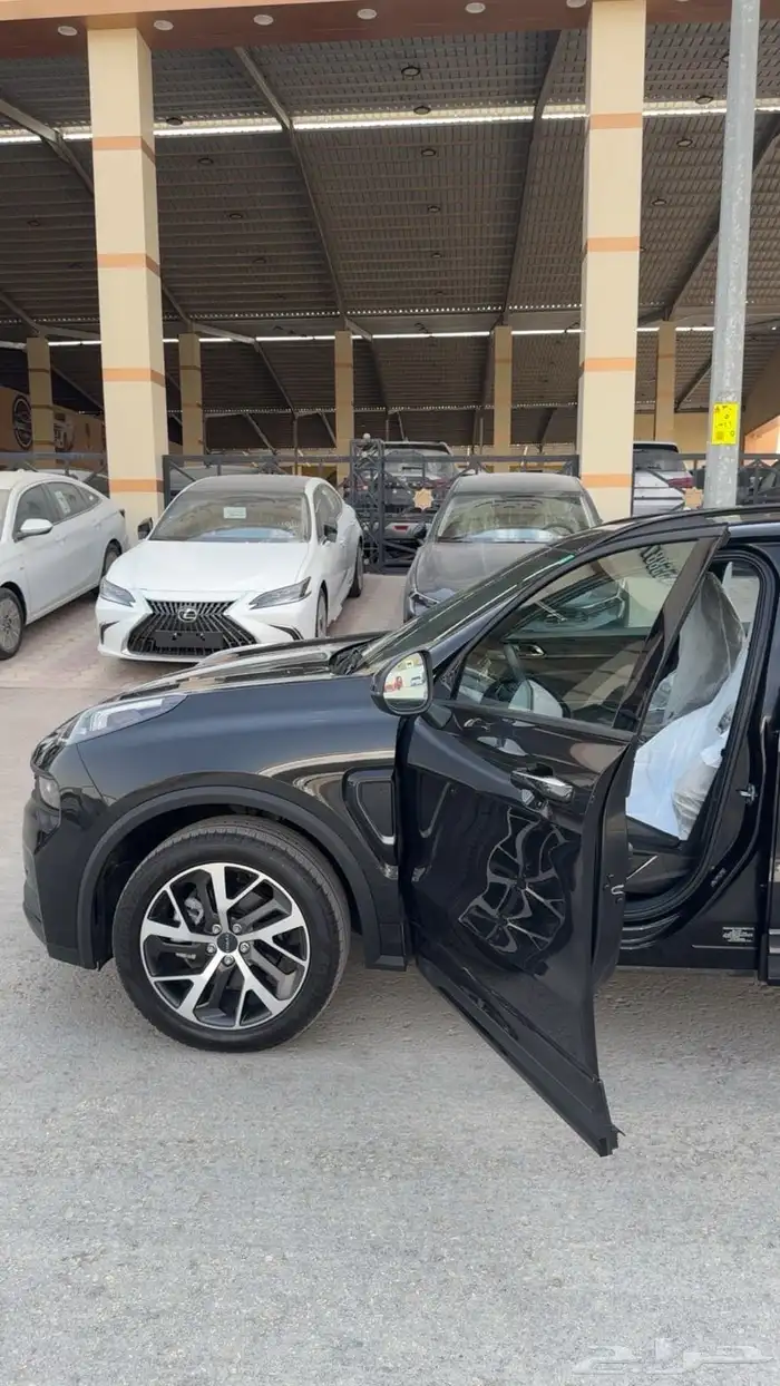 لينك اند كو 01 اصفارر 2024 2