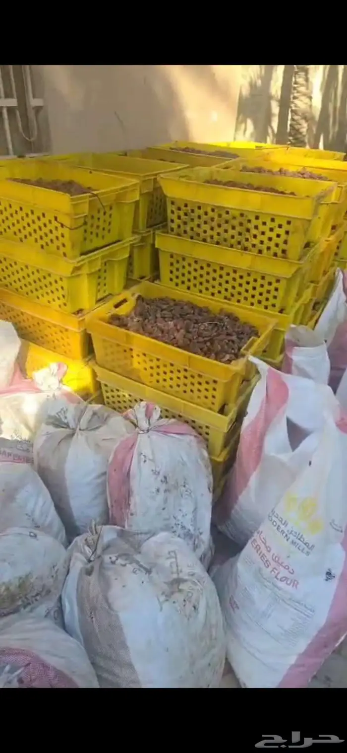 تمر علف للبيع 0