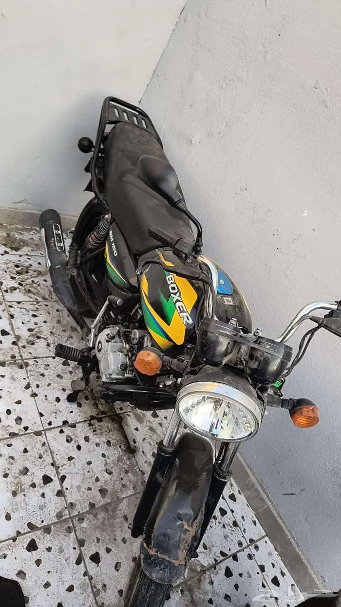 12 دباب للبيع بوكسر هندي واثنين سواد 1