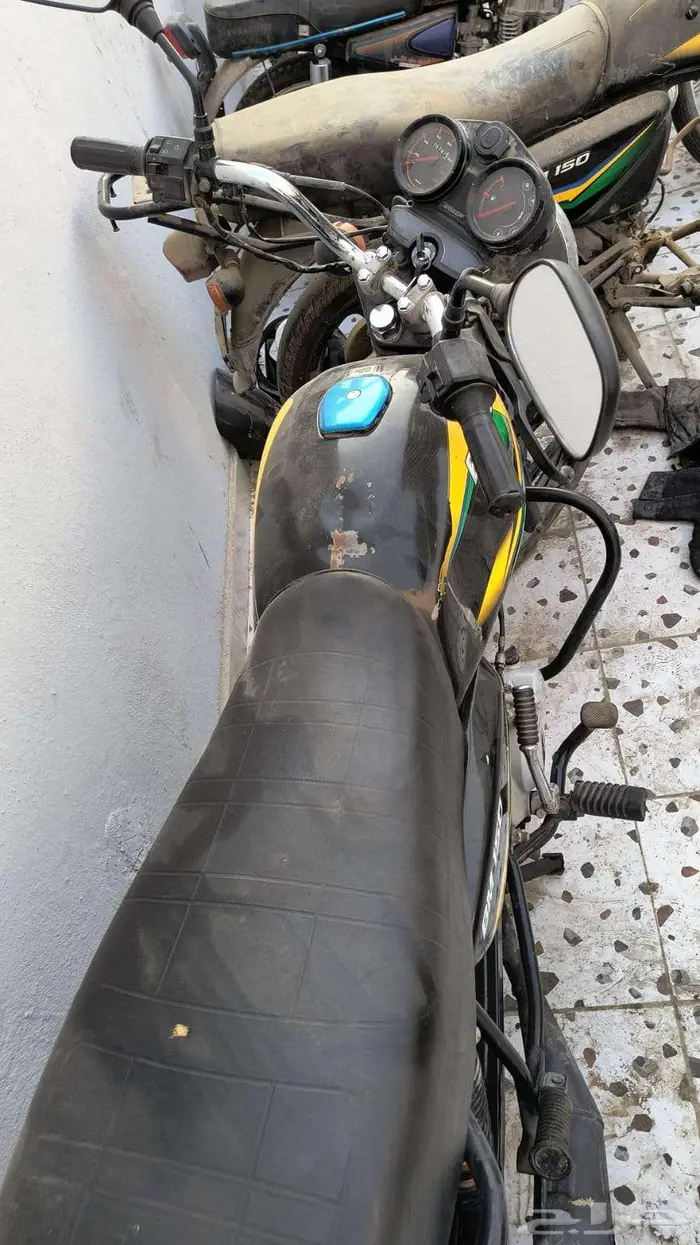 12 دباب للبيع بوكسر هندي واثنين سواد 8