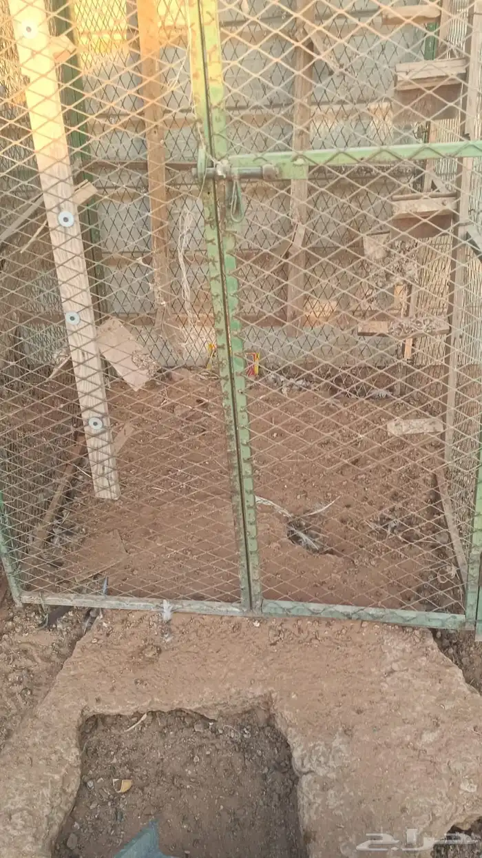 عشش مطير ومحكر حديد للبيع 3