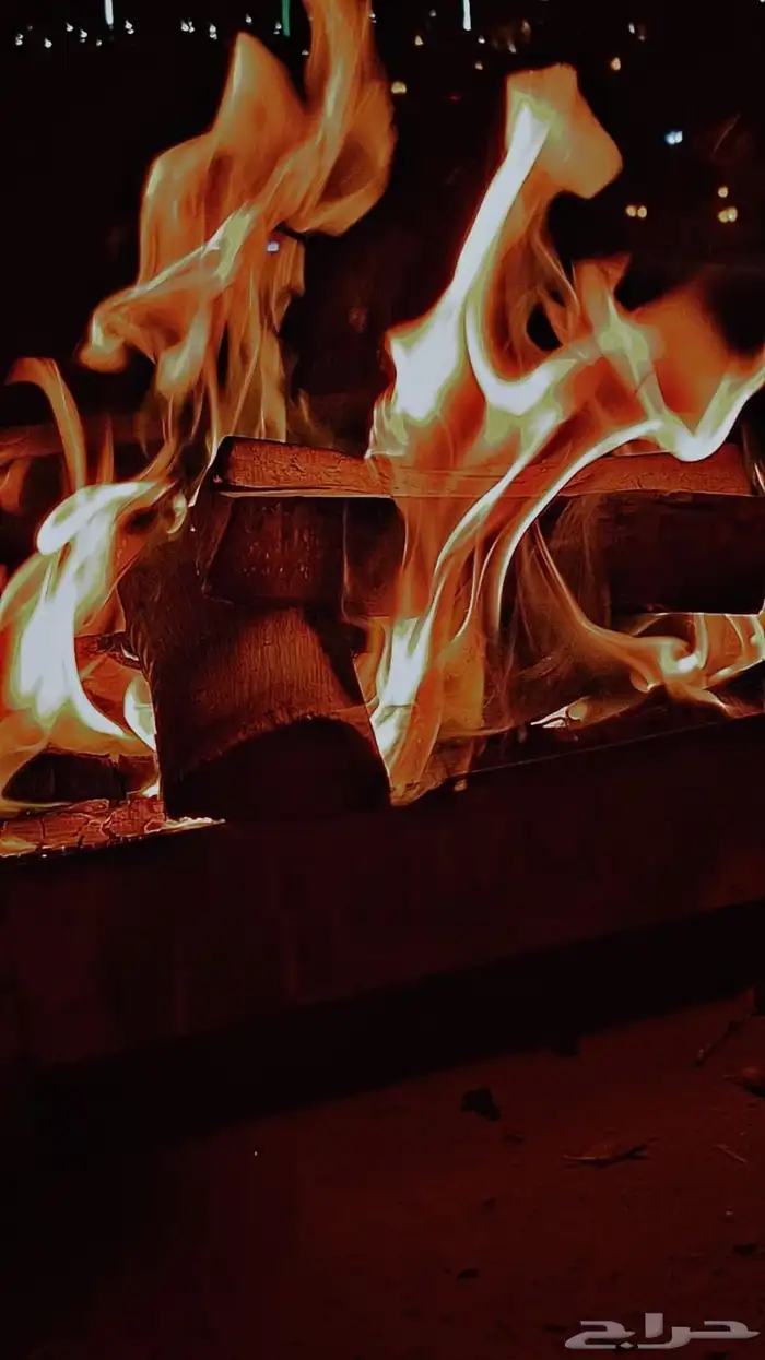 حطب سمر افريقي مستورد 6