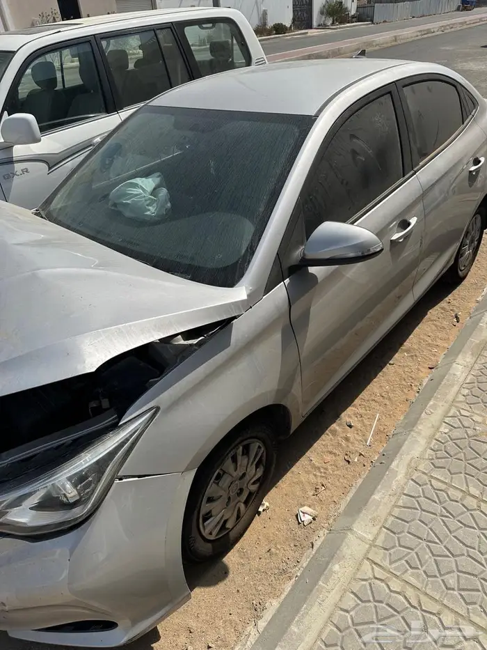 شانجان السفن 2024 1