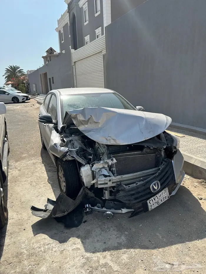 شانجان السفن 2024 3