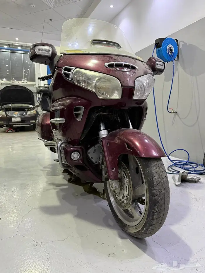 قولد وينق 2005 0